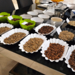 Cupping Luwak Coffee