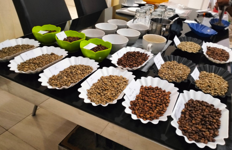 Cupping Luwak Coffee