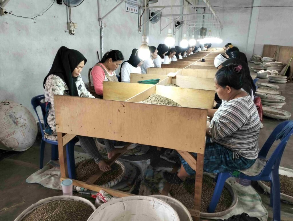 Sorting coffee beans