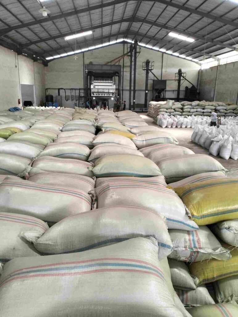 coffee bean warehouse