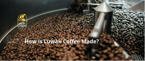 How Is Luwak Coffee Made?