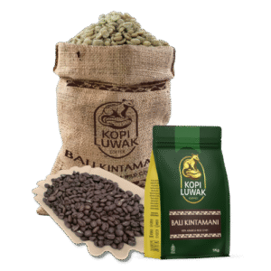 BALI KINTAMANI LUWAK