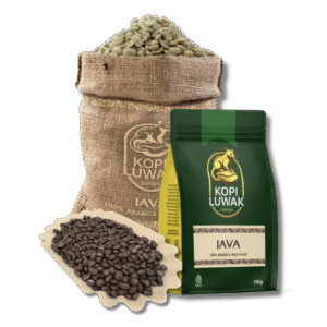 JAVA LUWAK