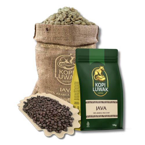 JAVA LUWAK