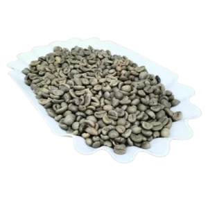 Luwak-Coffee-Green-Bean-2