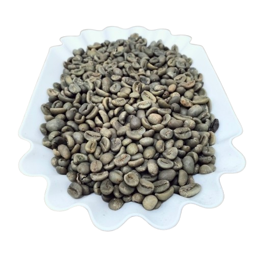 Aceh Gayo Luwak Coffee