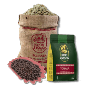 Toraja LUWAK