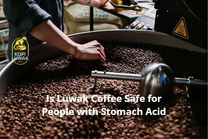 Is Luwak Coffee Safe for People with Stomach Acid