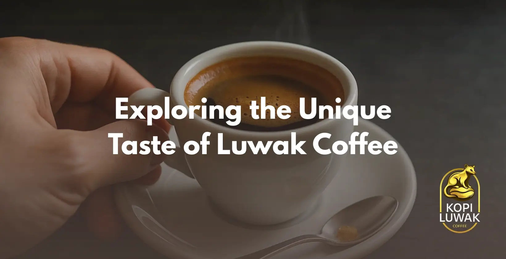 Luwak Coffee Taste