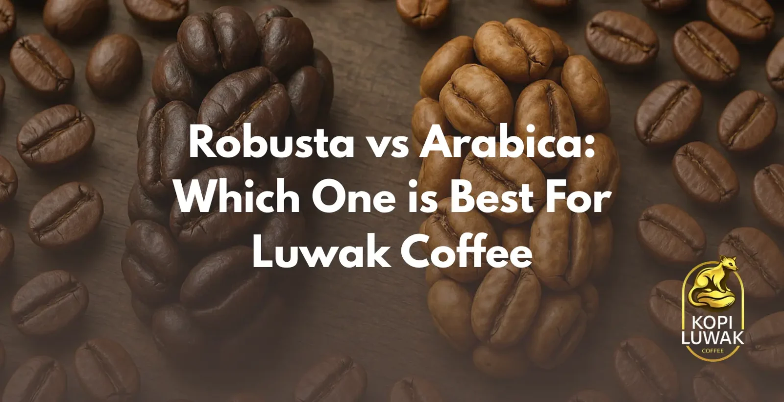 Visual guide on Robusta vs Arabica beans, determining the superior option for crafting Luwak coffee.
