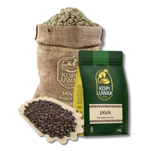 JAVA LUWAK